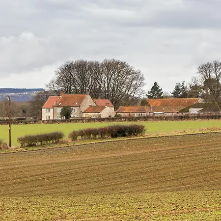 Bed and Breakfast High Park Farm Γιορκ